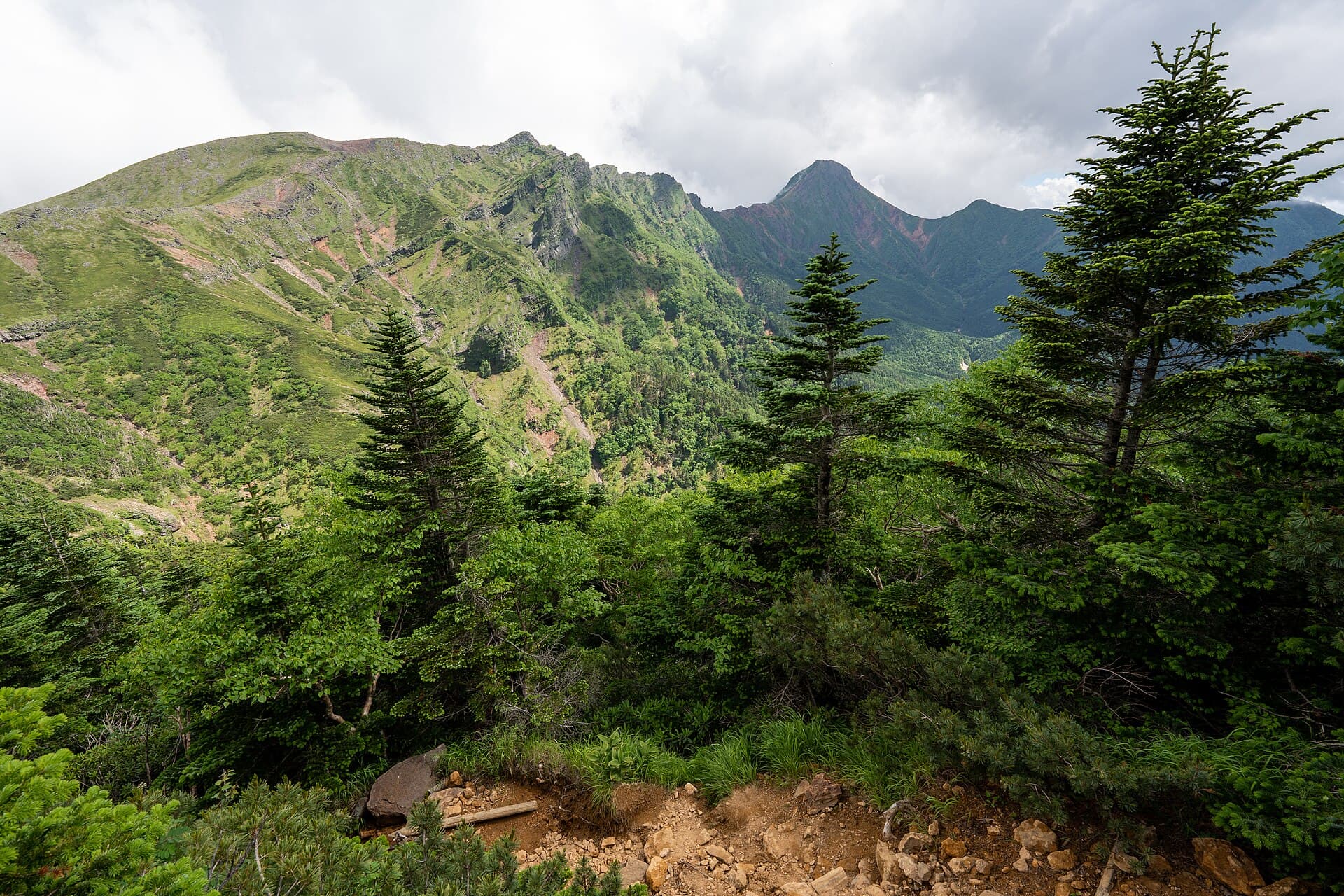 緑に包まれた八ヶ岳の山並み